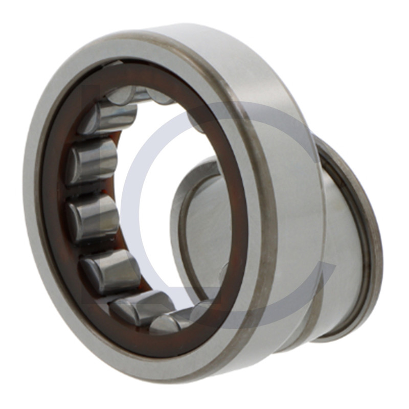 Zylinderrollenlager NJ204 ECP SKF 20x47x14 mm